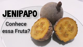 MOUSSE DE JENIPAPO E OS BENEFÍCIOS DESSA FRUTA [upl. by Feola]