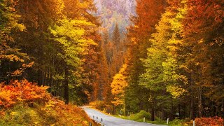 Beautiful Relaxing Music Peaceful Soothing Instrumental Music quotGolden Autumn Octoberquot By Tim Janis [upl. by Adelheid]