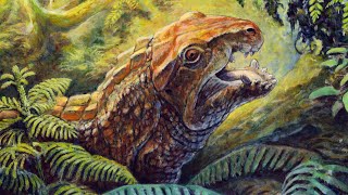 Syntomiprosopus A New Species Of Triassic Reptile With A Very Short Snout [upl. by Daas]