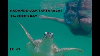 Ep 47  Nadando com tartarugas em Coco Bay  Veleiro Liberdade [upl. by Eltotsira618]