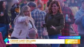 Cedar Lake Cellars  Voted Best Winery in St Louis Region [upl. by Stricklan]