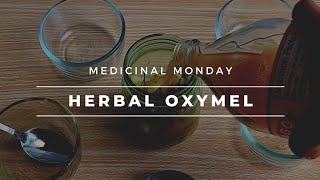 Medicinal Monday  Herbal Oxymel [upl. by Sherar]