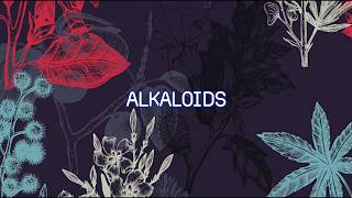 ALKALOIDS SIMPLIFIED  PHARMACOGNOSY  BPHARMA 4th Sem  What are alkaloids classification [upl. by Leacock]