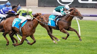 FIRST SETTLER wins the G2 Danehill Stakes [upl. by Nylauqcaj812]