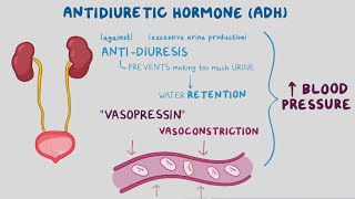 Vasopressin Drugs [upl. by Theurich]