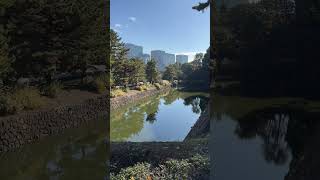 tokyo Imperial Palace Garden Edo ruins [upl. by Racklin]