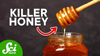 How Honey Can Fight Deadly Bacteria [upl. by Utica705]