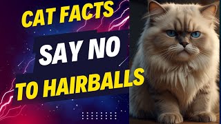 Surprising tips to prevent hairballs in your cat [upl. by Hudis]