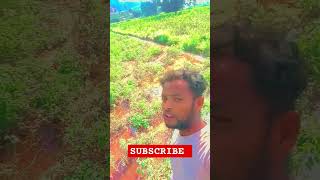 raithu agriculture farming farmer [upl. by Basia]