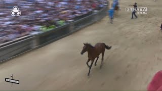 PROVA GENERALE  NICCHIO  PALIO DI SIENA 2 LUGLIO 2024 [upl. by Dame320]