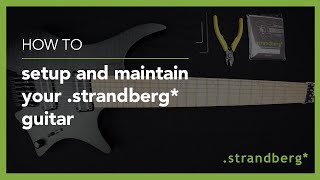 strandberg Setup amp Maintenance  How to setup and maintain your strandberg guitar [upl. by Sonitnatsnok]