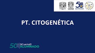 PT CITOGENÉTICA [upl. by Mariquilla157]