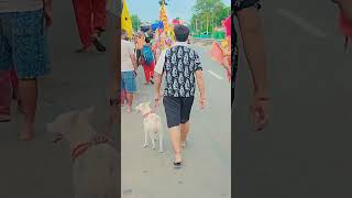 Tuffys 2nd kawad yatra 2024 doglover tuffy cute tuffyzone pets pawfect softpaws cuddly [upl. by Mufi]