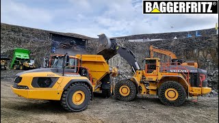 Volvo L350H loader fills Volvo A60H dumper at SteinExpo 2024 [upl. by Atiluj]