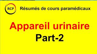 Appareil urinaire  Part 2 [upl. by Werby]