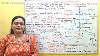 01 Introduction to Carbohydrate Metabolism  Metabolic Pathways of Carbohydrate  Biochemistry [upl. by Inna]