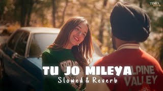 JUSS  Tu Jo Mileya Slowed amp Reverb MixSingh  New Punjabi Romantic Song 2024 [upl. by Yssis]