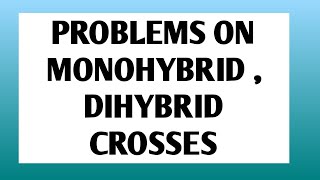 PRACTICE PROBLEMS ON MONOHYBRID DIHYBRID CROSS 5 [upl. by Beore361]