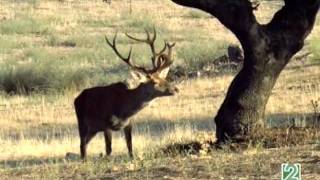 Tesoros del Sur otoñá El otoño en Andalucía [upl. by Ecnahoy]