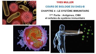 Chapitre 4  1ère Partie  Antigènes CMH et cellules du système immunitaire  Cours de Biologie [upl. by Ellecrad]