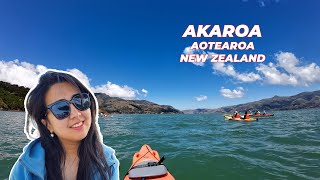 Akaroa Kayaking and Kaikōura Kahawai Catch and Cook [upl. by Panthia]