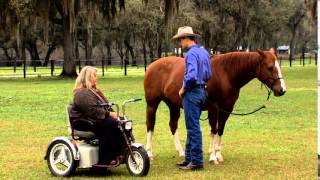 Introducing Flank Rope Horse Training with Silke Vallentin [upl. by Lacefield310]