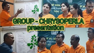 GROUP  CHRYSOPERLA PRESENTATION At RCIPMC nagpur 111023 [upl. by Nallad]