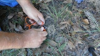 How To Start a Fire With A Ferro Rod [upl. by Terrena201]