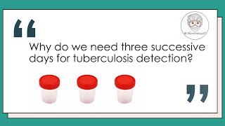 Sputum culture  Why 3 samples needed for TB Detection Mycobacterium tuberculosis Microbiology [upl. by Laufer]