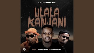 uLala Kanjani feat LeeMcKrazy amp Skandisoul [upl. by Nodnyl]