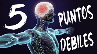 😱 CUALES son los PUNTOS DEBILES del cuerpo humano  5 PUNTOS VITALES para Defensa Personal 🔊 [upl. by Anen]