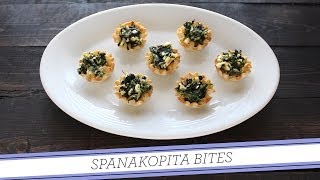 Spanakopita Bites  Easy Appetizer Recipe [upl. by Hibben649]