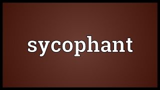 Sycophant Meaning [upl. by Orrin]