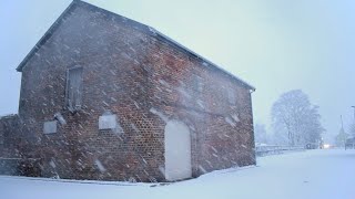 My winter residence is a derelict coach house in a car park [upl. by Tnomyar]