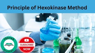 Principle of the Hexokinase Method shorts [upl. by Eanahc]