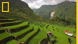 Soar Over the Lush Rice Terraces of the Philippines  National Geographic [upl. by Aufa]