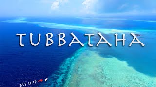 TUBBATAHA the Philippines Greatest Wild Life Sanctuary [upl. by Demetris]