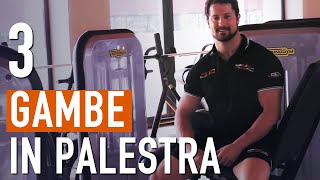 Allenamento GAMBE e COSCE per aumentare la MASSA MUSCOLARE [upl. by Naved908]