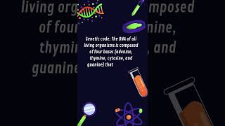 GeneticCode DNA adenine thymine cytosine and guanine shorts [upl. by Wylie537]