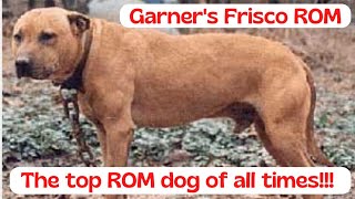 Garners quotFriscoquot ROM TOP APBT ROM OF ALL TIMES [upl. by Lean]