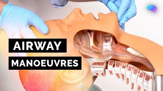 Airway Manoeuvres BLS  HeadTilt amp ChinLift  Jaw Thrust  ABCDE Emergency  OSCE Guide [upl. by Staci]