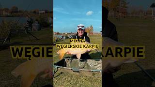 fishing methodfeeder carpfishing feeder carp feederfishing carpfish feederlife [upl. by Rochette246]