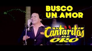 Busco Un Amor  Cantaritos de Oro 4k  Vídeo Oficial [upl. by Anik]