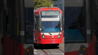 K5000 Linie 16 Ri Niehl Sebastianstr  Einfahrt H Suevenstr  stadtbahn köln kvb tram [upl. by Norvil]