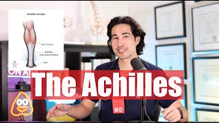 Achilles Tendon  Doctor Explains [upl. by Oivaf]