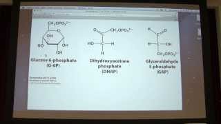 16 Kevin Aherns Biochemistry  Carbohydrates I [upl. by Ahsieni97]