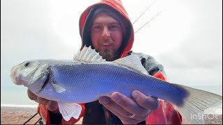 South west beach fishing The ness shaldon bass and smooth hound 🎣 [upl. by Andonis]