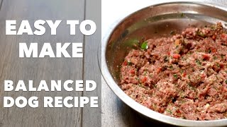 Homemade Dog Food Recipe [upl. by Coward]