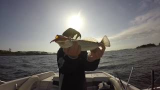 Trout And Red Fish Fishing In St Marks Florida [upl. by Rocco470]