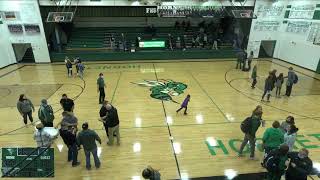 Frazee vs Breckenridge High Varsity Mens Basketball [upl. by Tung412]